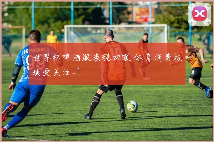 世界杯啤酒股表现回暖 体育消费板块受关注_1