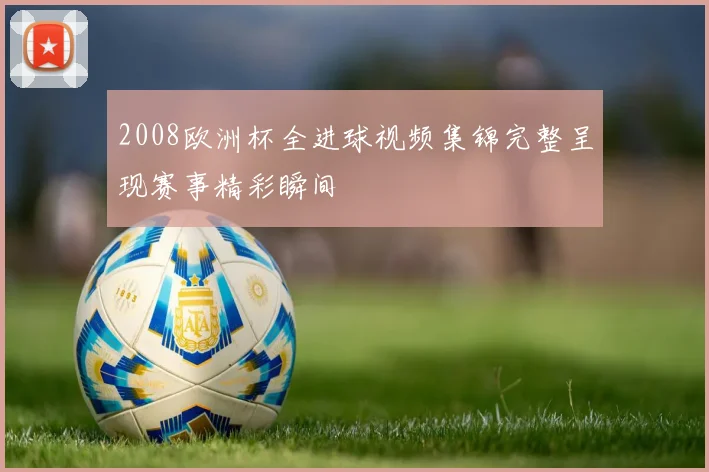 2008欧洲杯全进球视频集锦完整呈现赛事精彩瞬间