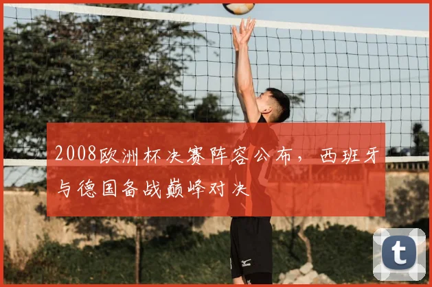 2008欧洲杯决赛阵容公布,西班牙与德国备战巅峰对决