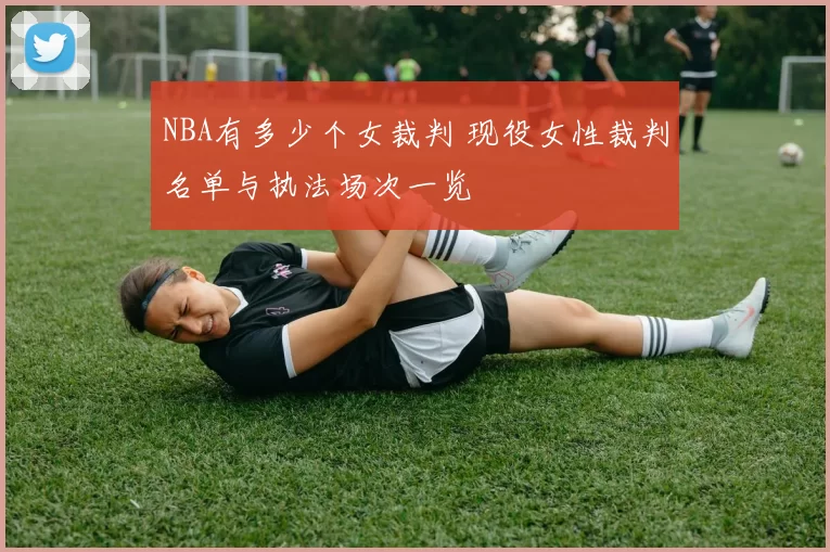 NBA有多少个女裁判 现役女性裁判名单与执法场次一览