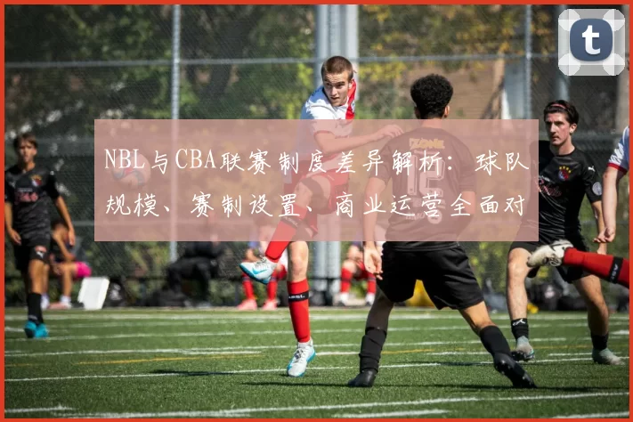 NBL与CBA联赛制度差异解析：球队规模、赛制设置、商业运营全面对比